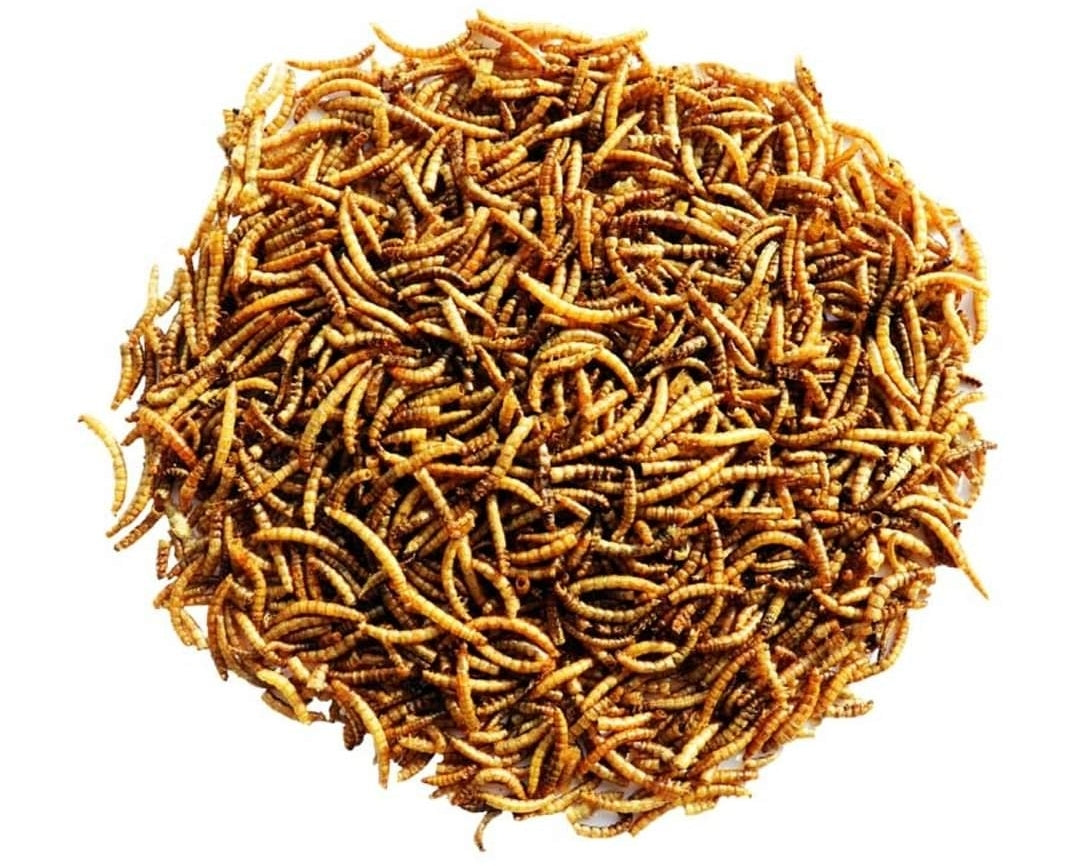 Menu Nature - Gedroogde Meelwormen - Voer - 300 gram - Versele Laga