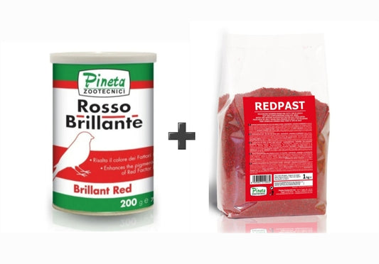Combo Pakket - Rosso Brillante + Redpast